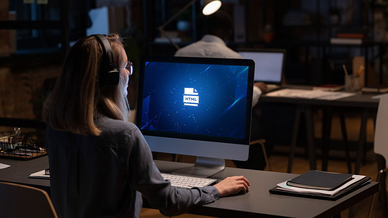 ITbuildz - Web Development Services